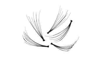 Cluster Lashes Comes in a Bundle