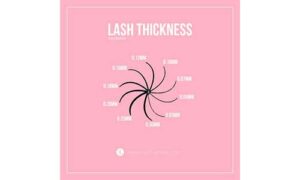 Lash-Thickness