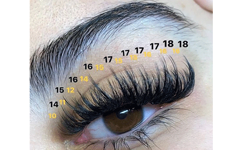 lash-mapping-styles
